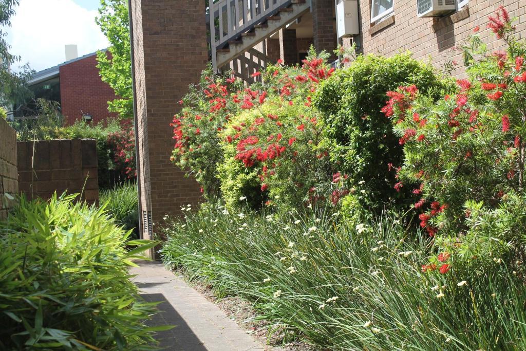 Adelaide Dress Circle Apartments - Archer Street מראה חיצוני תמונה
