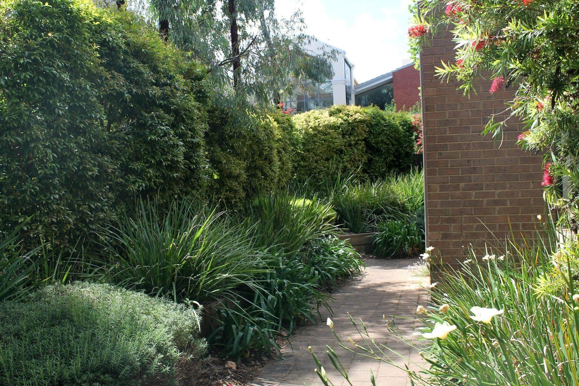 Adelaide Dress Circle Apartments - Archer Street מראה חיצוני תמונה