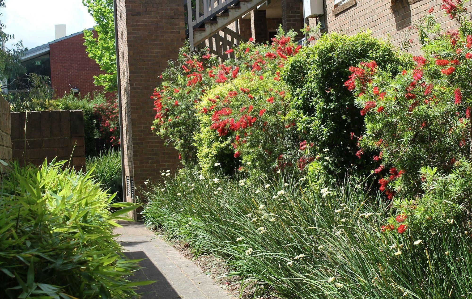 Adelaide Dress Circle Apartments - Archer Street מראה חיצוני תמונה